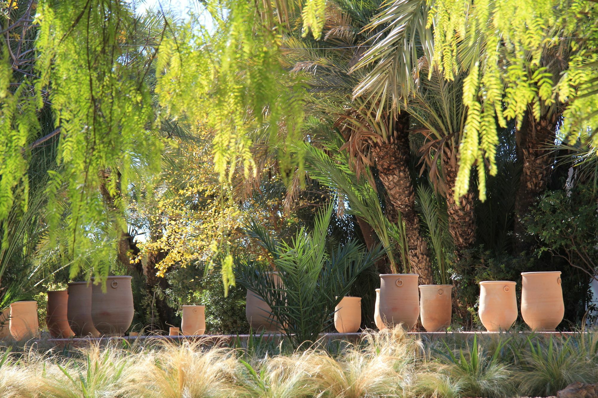 Jnane Tamsna Hotel Marrakesh Ngoại thất bức ảnh