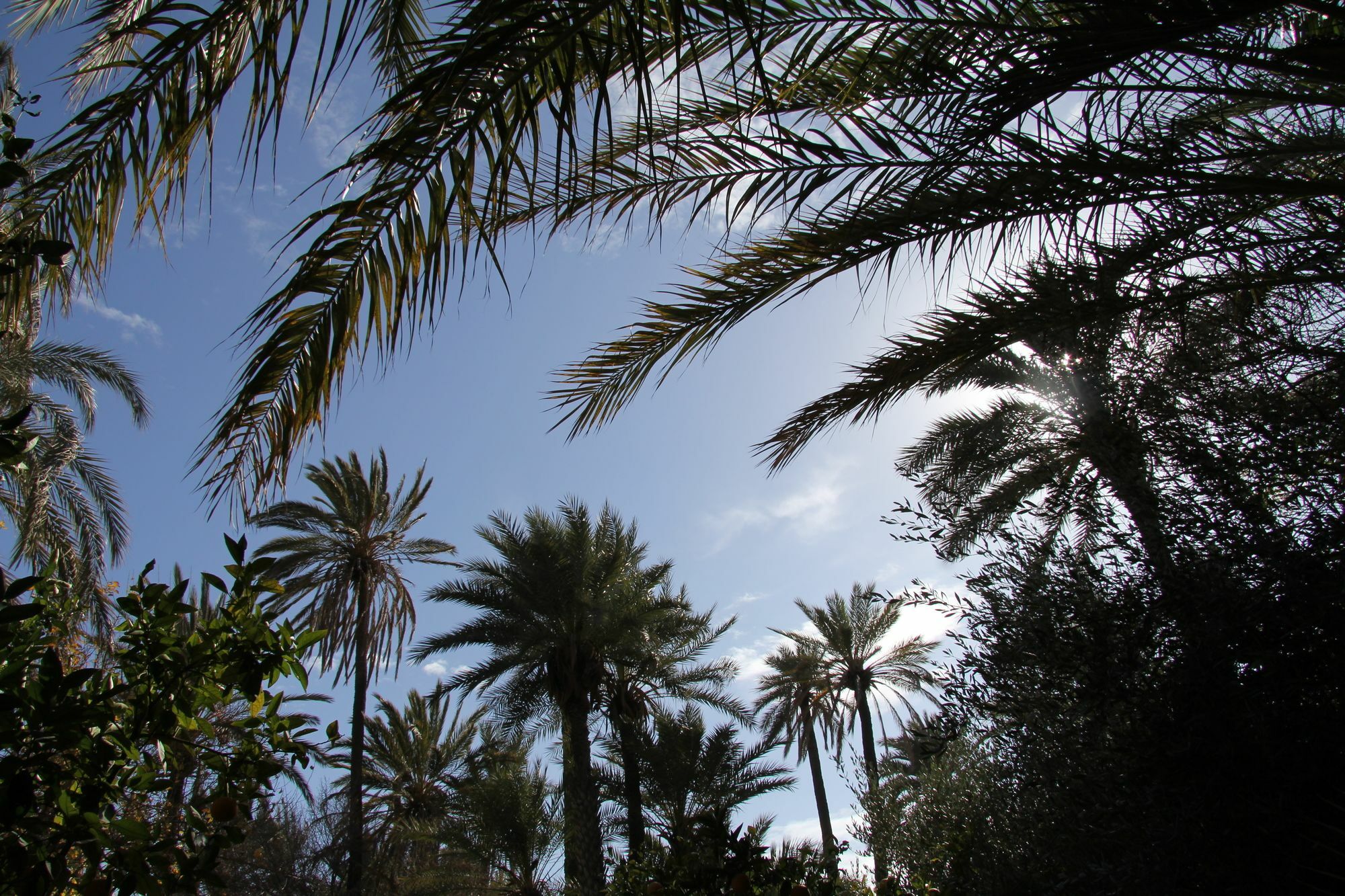 Jnane Tamsna Hotel Marrakesh Ngoại thất bức ảnh