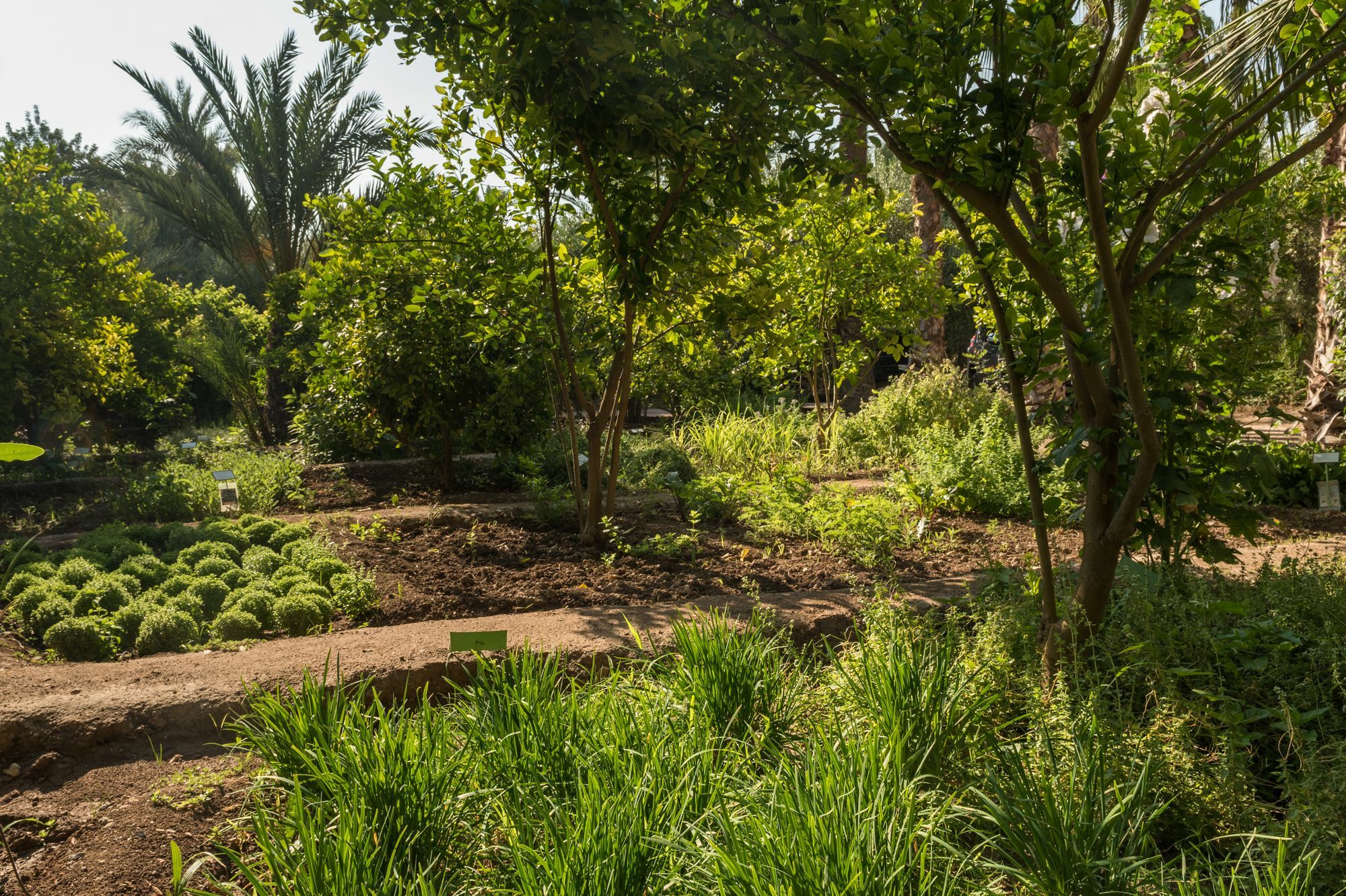 Jnane Tamsna Hotel Marrakesh Ngoại thất bức ảnh