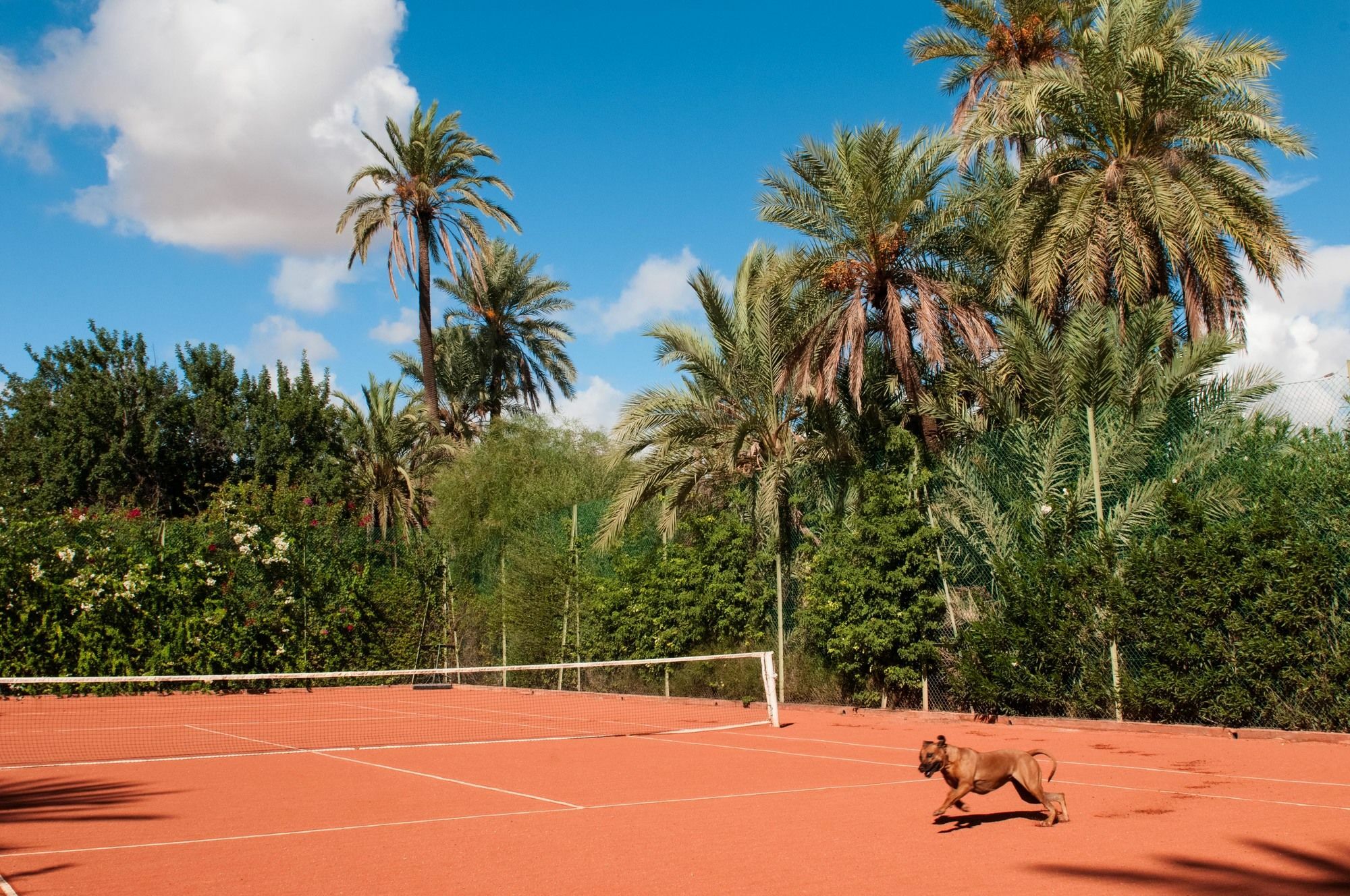Jnane Tamsna Hotel Marrakesh Ngoại thất bức ảnh